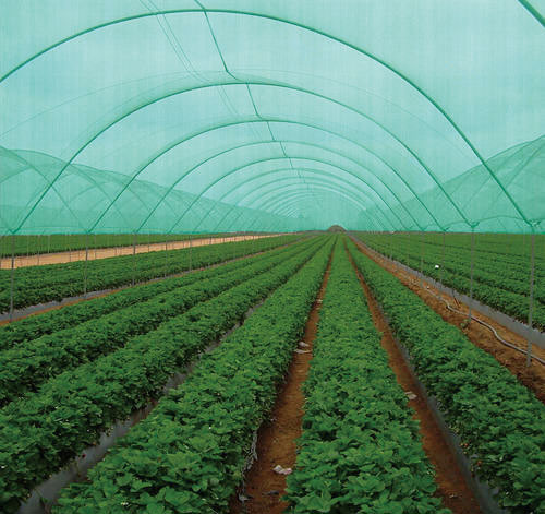 PET Monofilament : Agriculture and Fencing